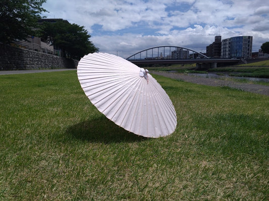 Japanese parasol with double layer pink hemp leaf pattern
