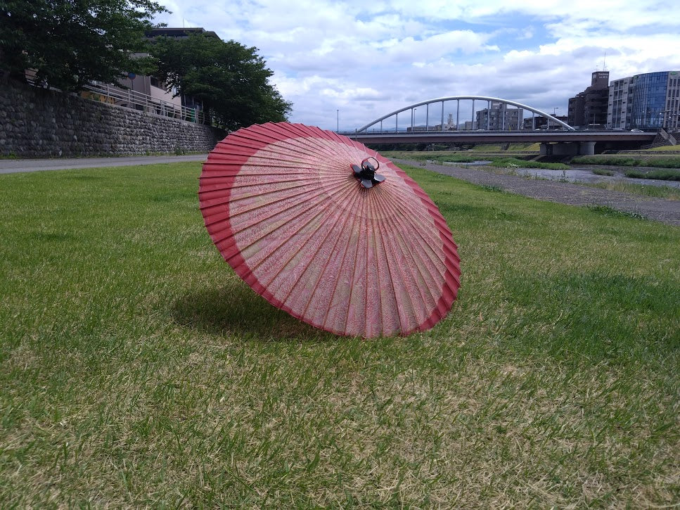 45 Chrysanthemum Moon Slave Red