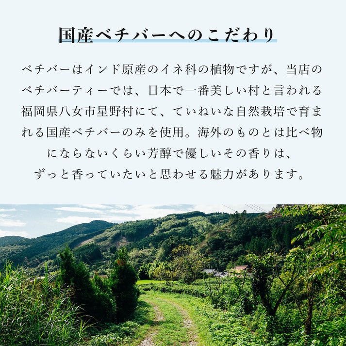 "Vetiver Tea Symphony No.1" 5 pieces