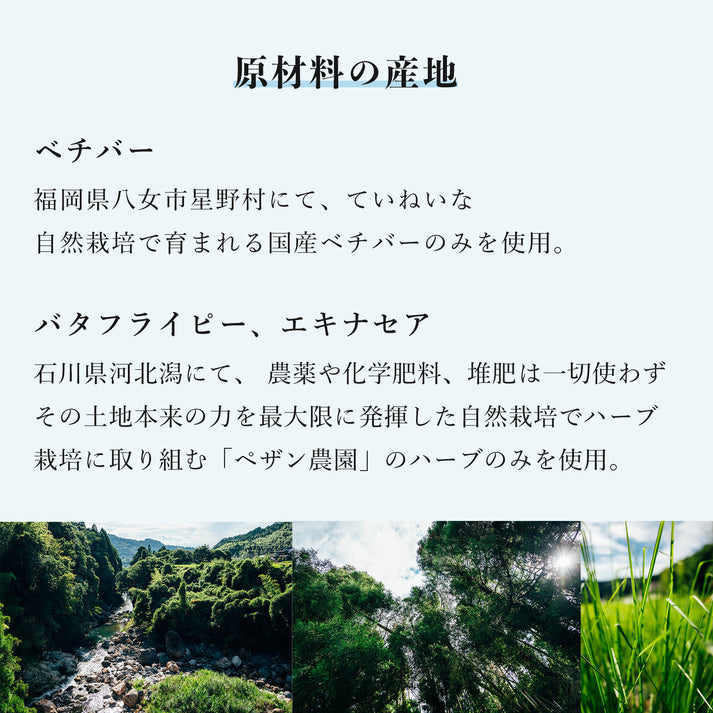 「ベチバー ティー シンフォニーNo.1」 5個入り