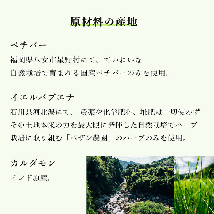 "Vetiver Tea Symphony No.2" 5 pieces