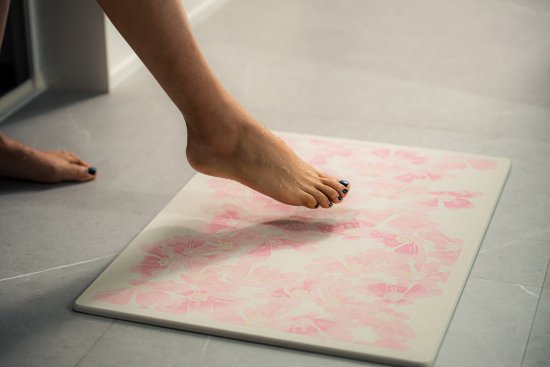Diatomaceous Earth Bath Mat Dogwood