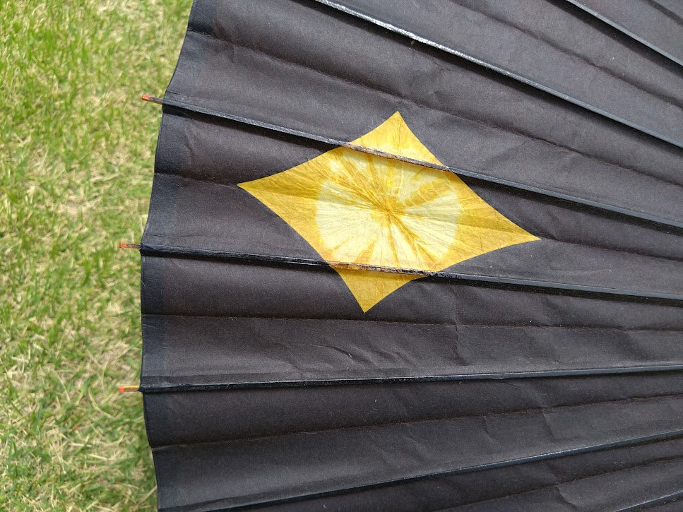 48 Black Three-sided diamond Yellow